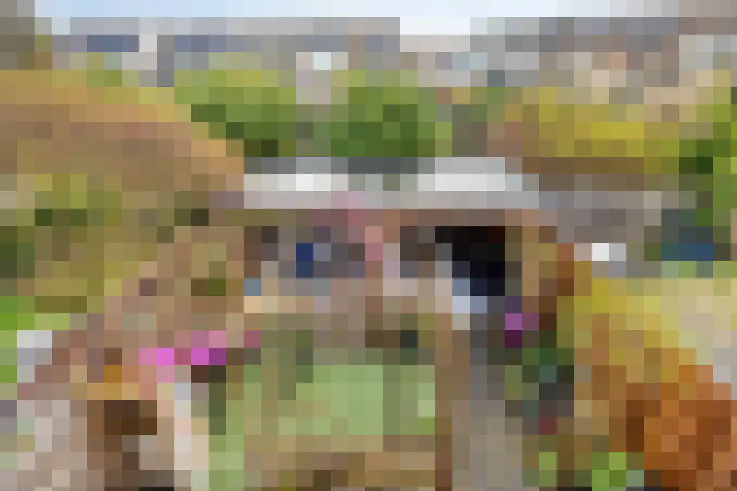 Schijfmos 62 Nieuwerkerk aan den IJssel thumbnail 38