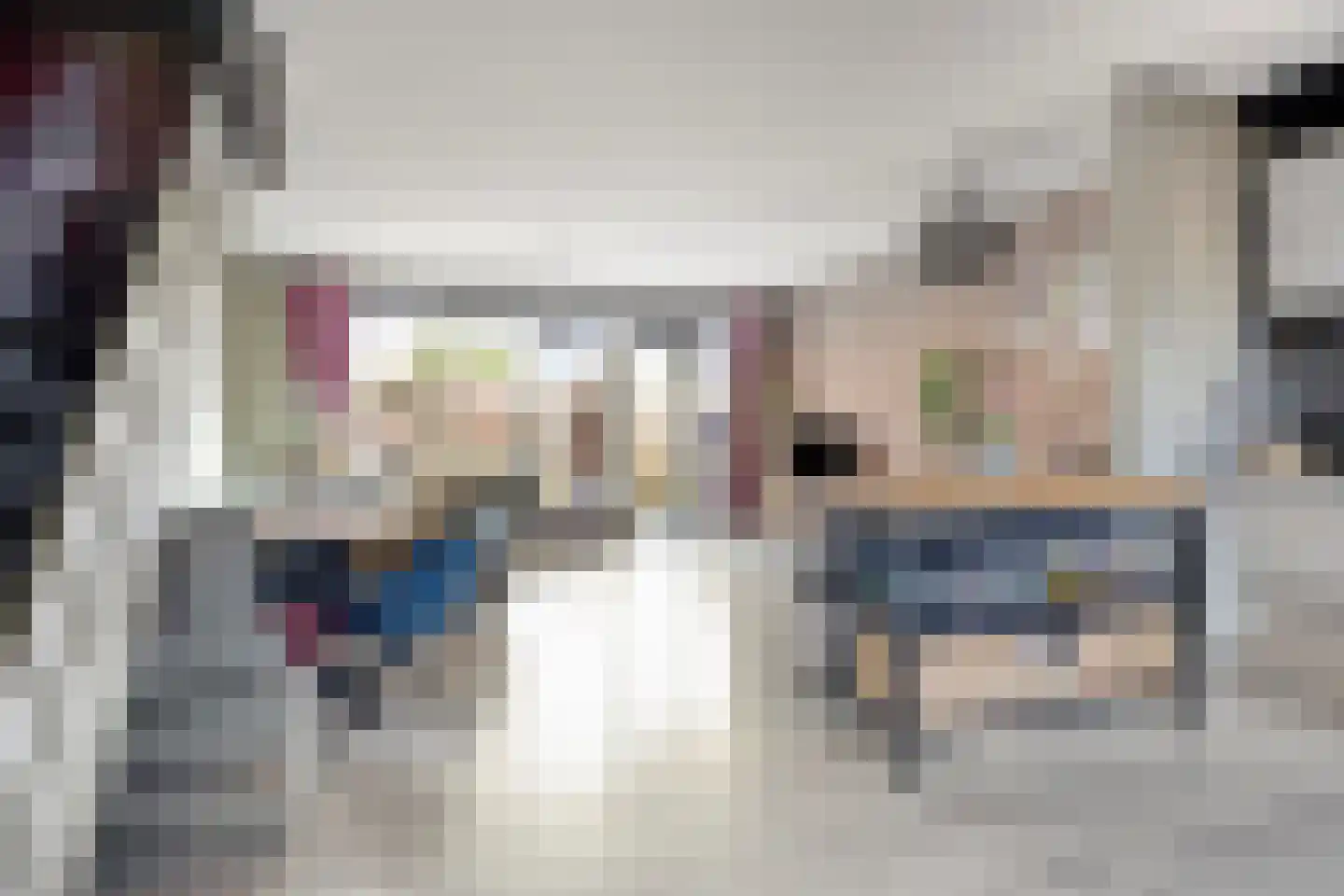 Schijfmos 62 Nieuwerkerk aan den IJssel thumbnail 4