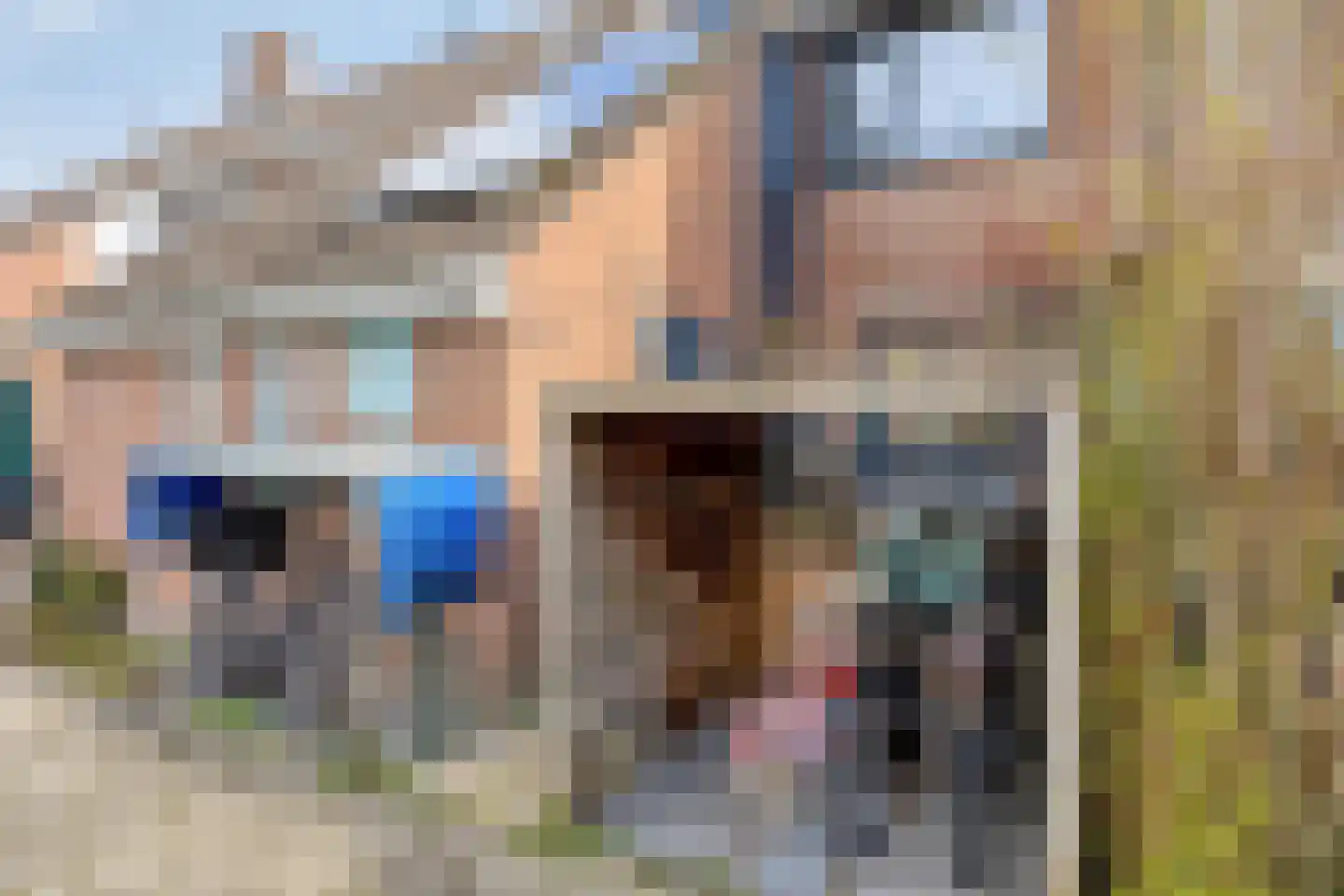 Schijfmos 62 Nieuwerkerk aan den IJssel thumbnail 40