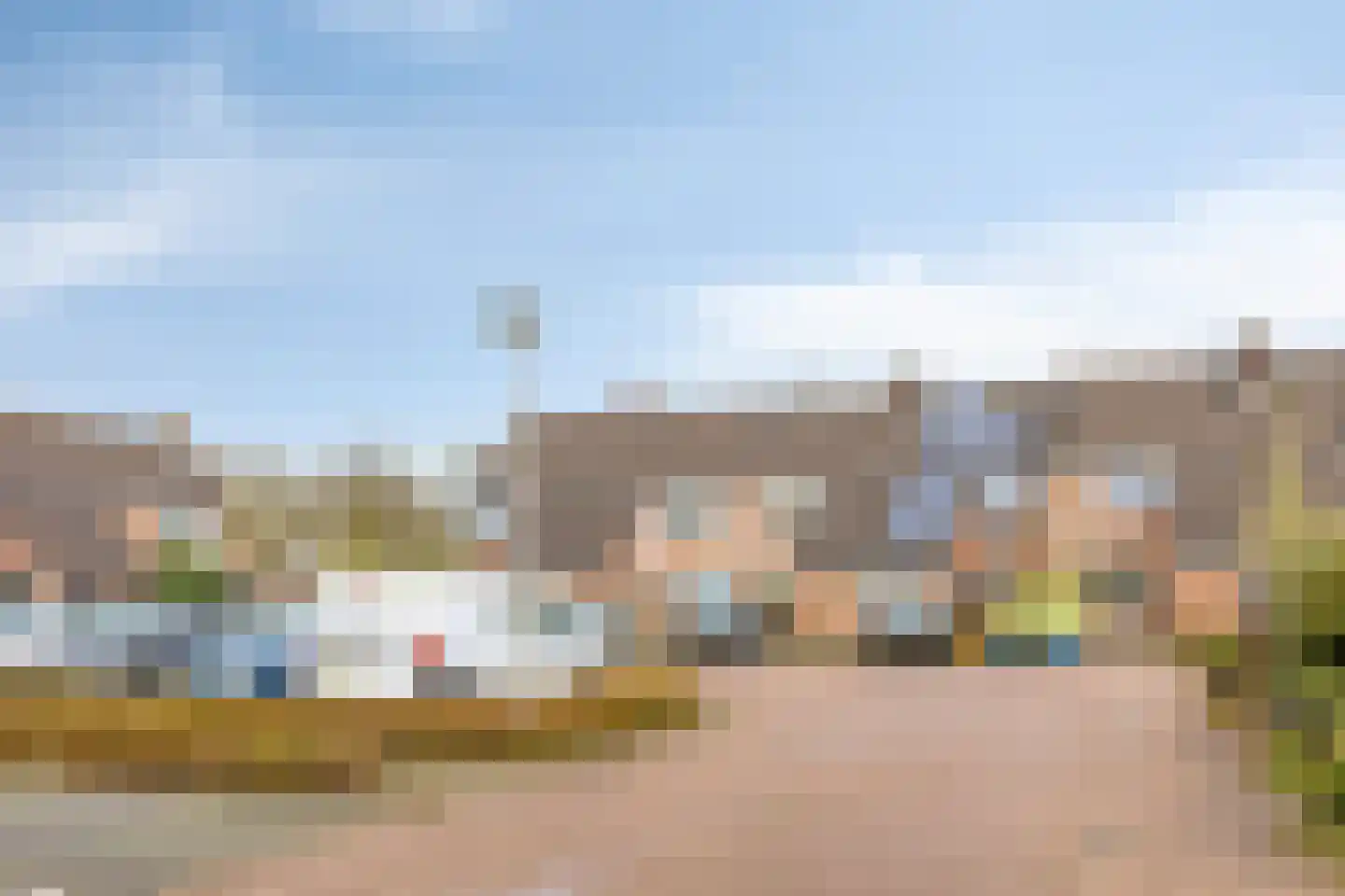 Schijfmos 62 Nieuwerkerk aan den IJssel thumbnail 41