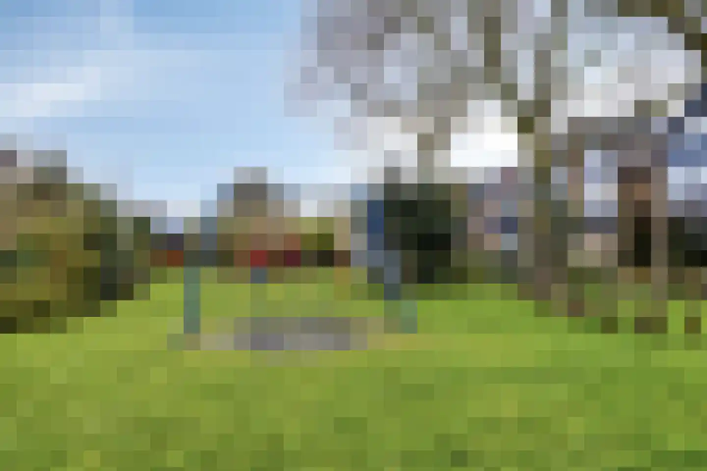 Schijfmos 62 Nieuwerkerk aan den IJssel thumbnail 43