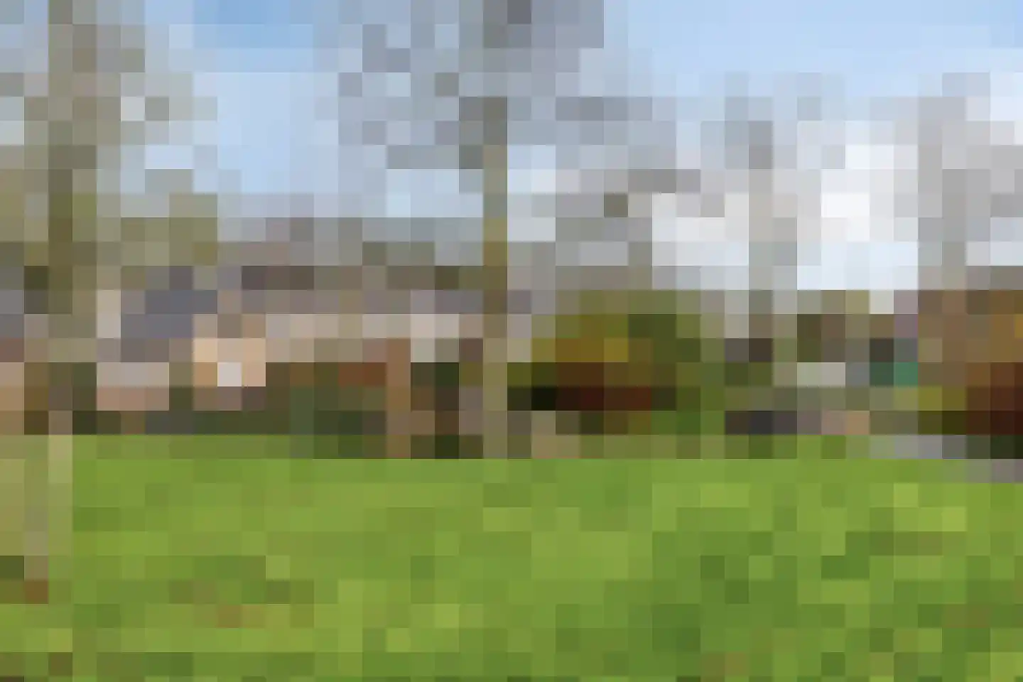 Schijfmos 62 Nieuwerkerk aan den IJssel thumbnail 45