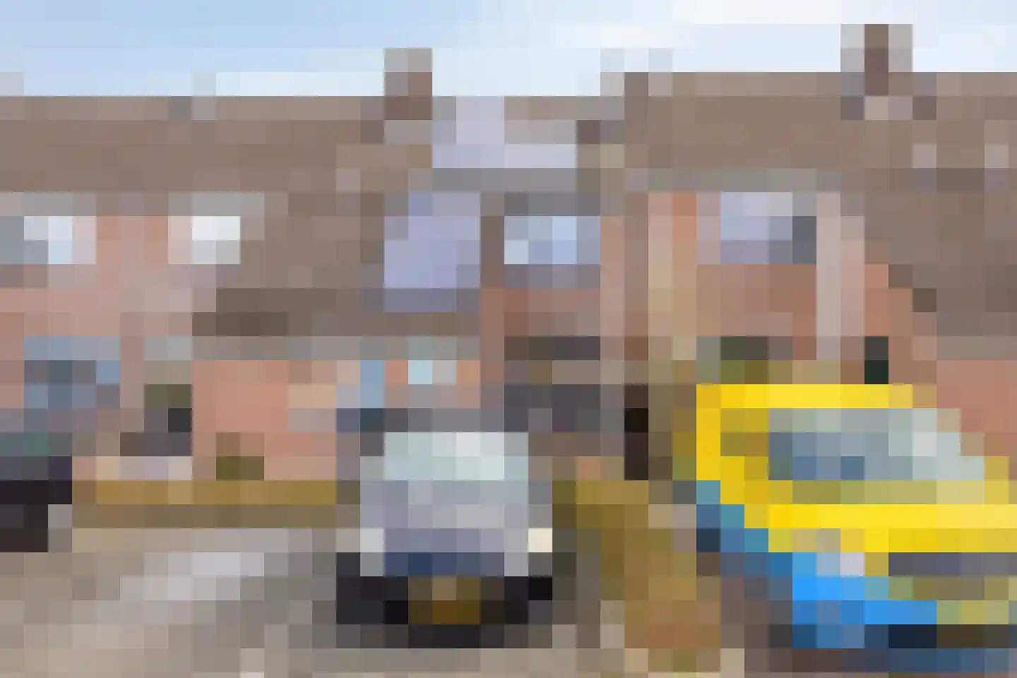 Schijfmos 62 Nieuwerkerk aan den IJssel thumbnail 5