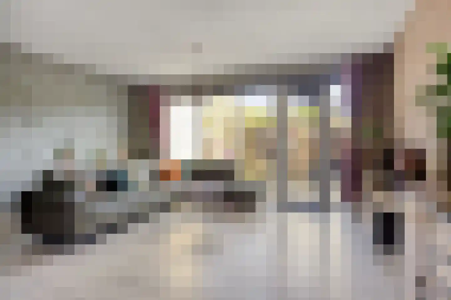 Schijfmos 62 Nieuwerkerk aan den IJssel thumbnail 7