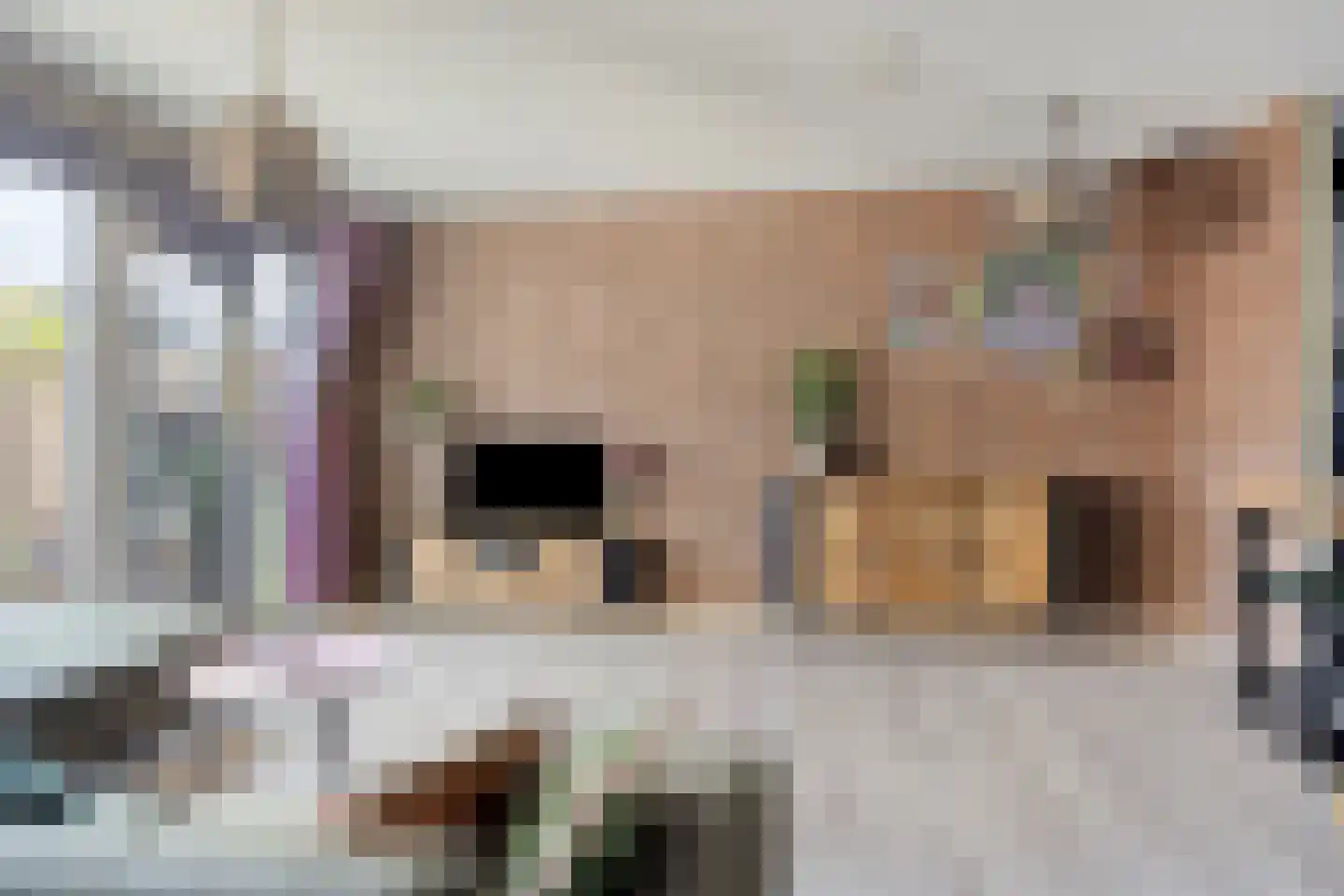 Schijfmos 62 Nieuwerkerk aan den IJssel thumbnail 8