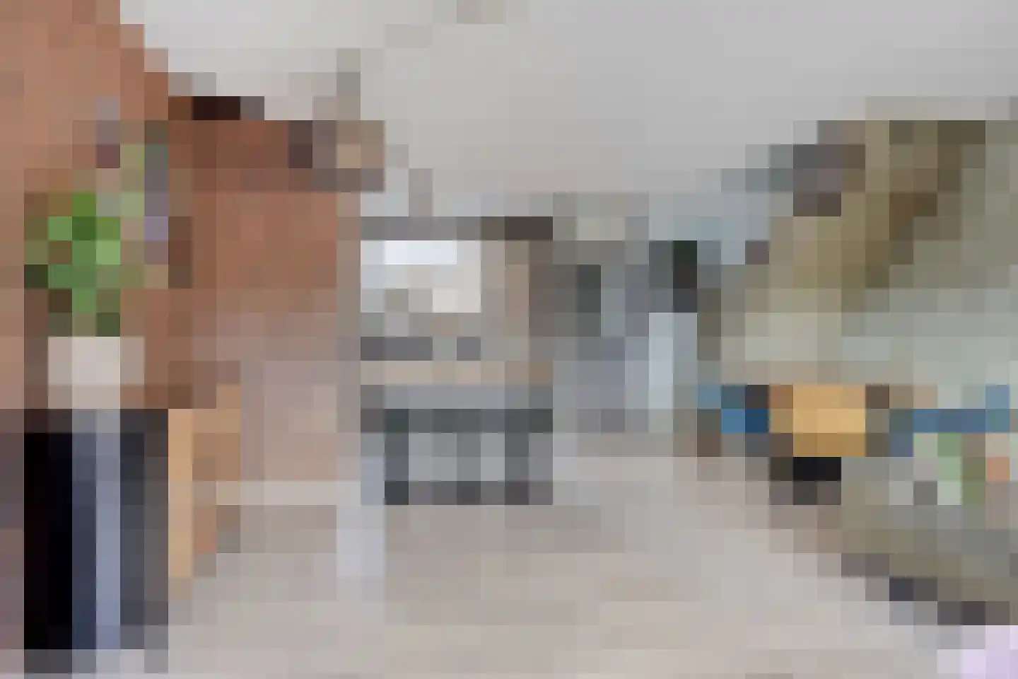 Schijfmos 62 Nieuwerkerk aan den IJssel thumbnail 9