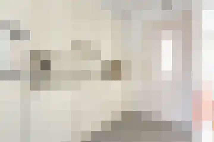 Schijfstraat 116 Teteringen thumbnail 13