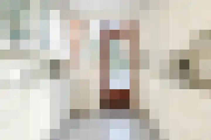 Schijfstraat 116 Teteringen thumbnail 14