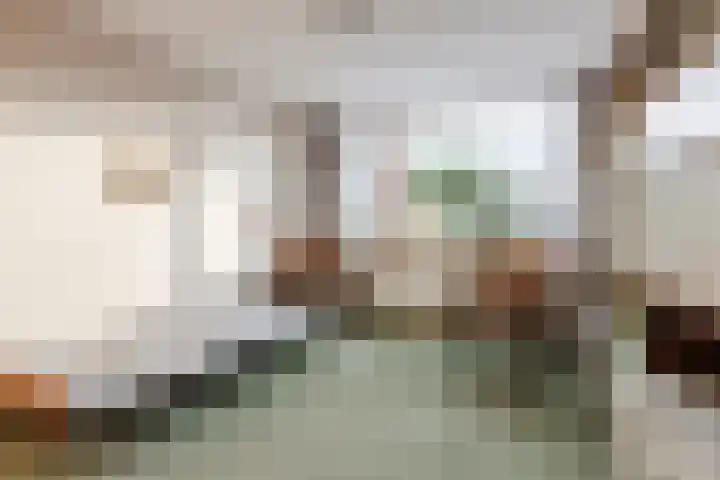 Schijfstraat 116 Teteringen thumbnail 21