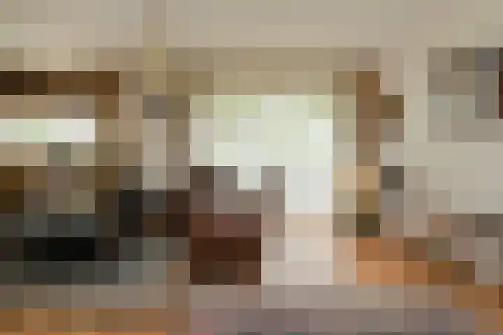 Schijfstraat 118 Teteringen thumbnail 8