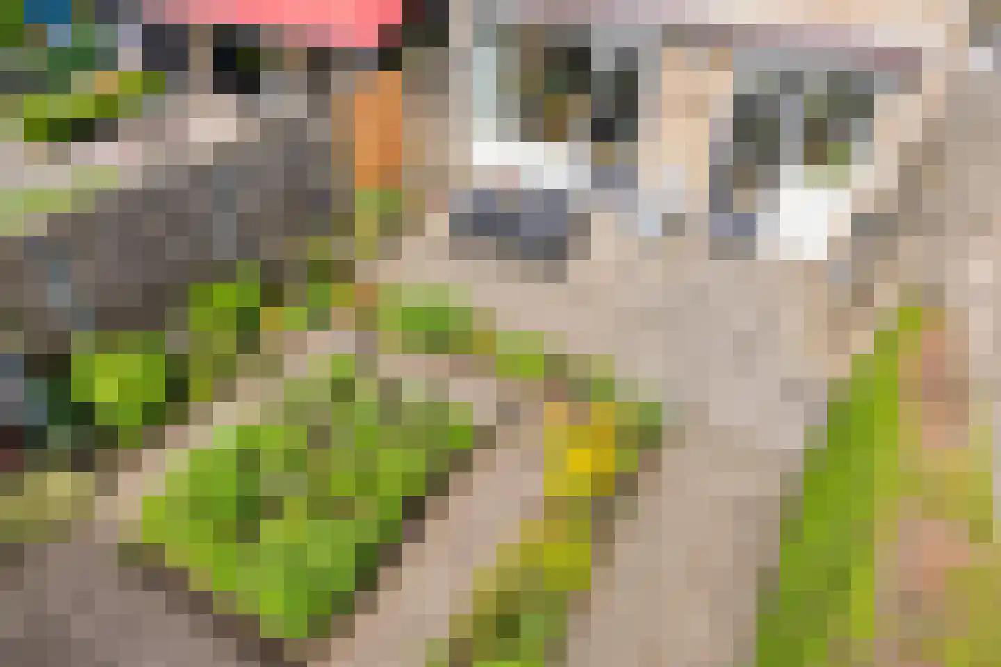 Schijfstraat 120 Teteringen thumbnail 20