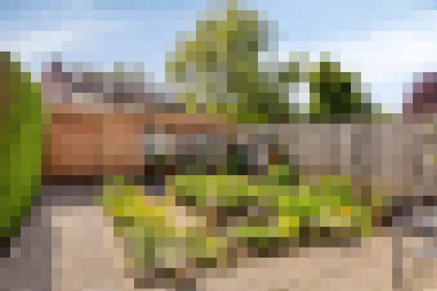 Schijfstraat 120 Teteringen thumbnail 22