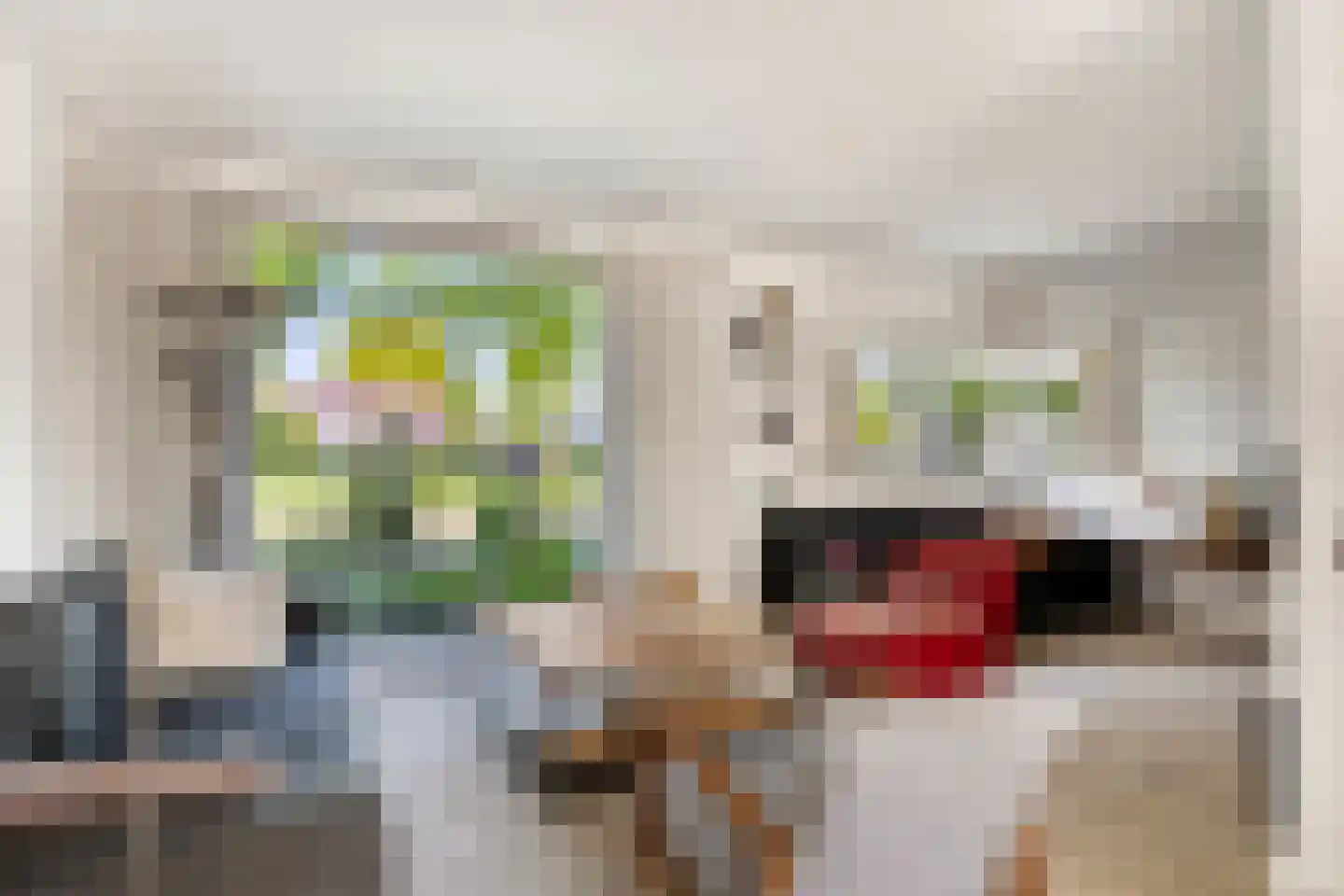 Schijfstraat 120 Teteringen thumbnail 7