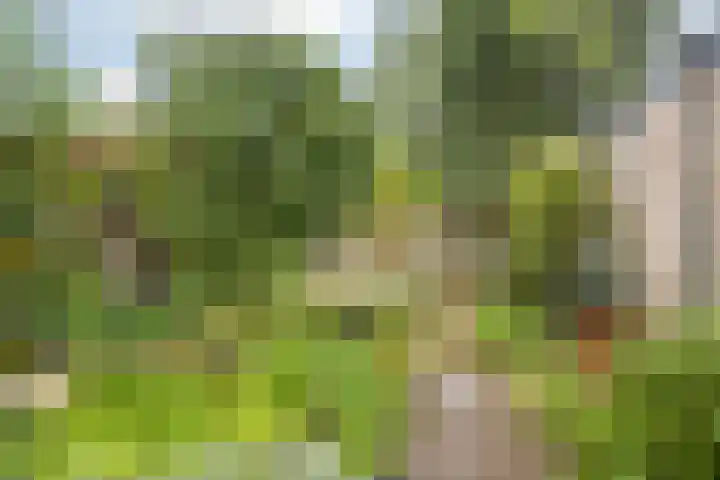Schijfstraat 126 Teteringen thumbnail 41