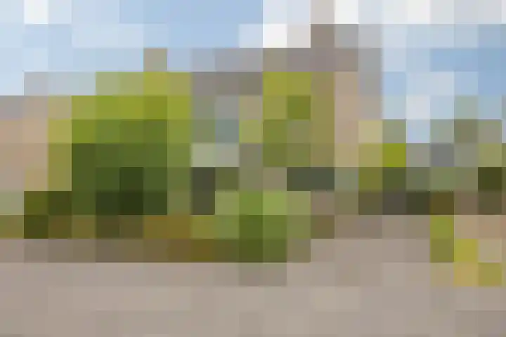 Schijfstraat 126 Teteringen thumbnail 58