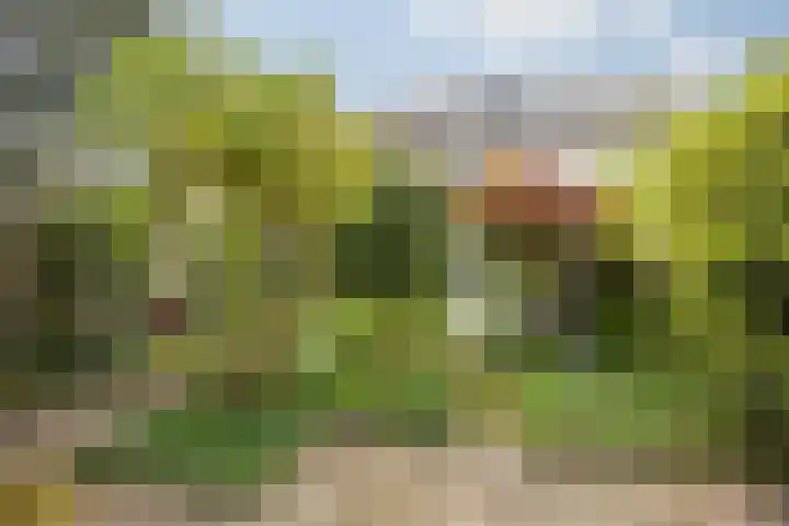 Schijfstraat 126 Teteringen thumbnail 6