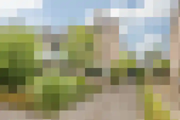 Schijfstraat 126 Teteringen thumbnail 64