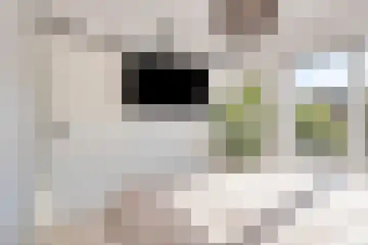 Schijfstraat 44 Teteringen thumbnail 15