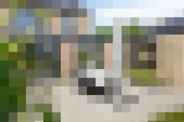 Schijfstraat 44 Teteringen thumbnail 31