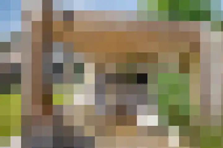 Schijfstraat 44 Teteringen thumbnail 34