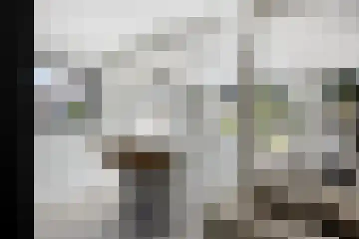 Schijfstraat 44 Teteringen thumbnail 6