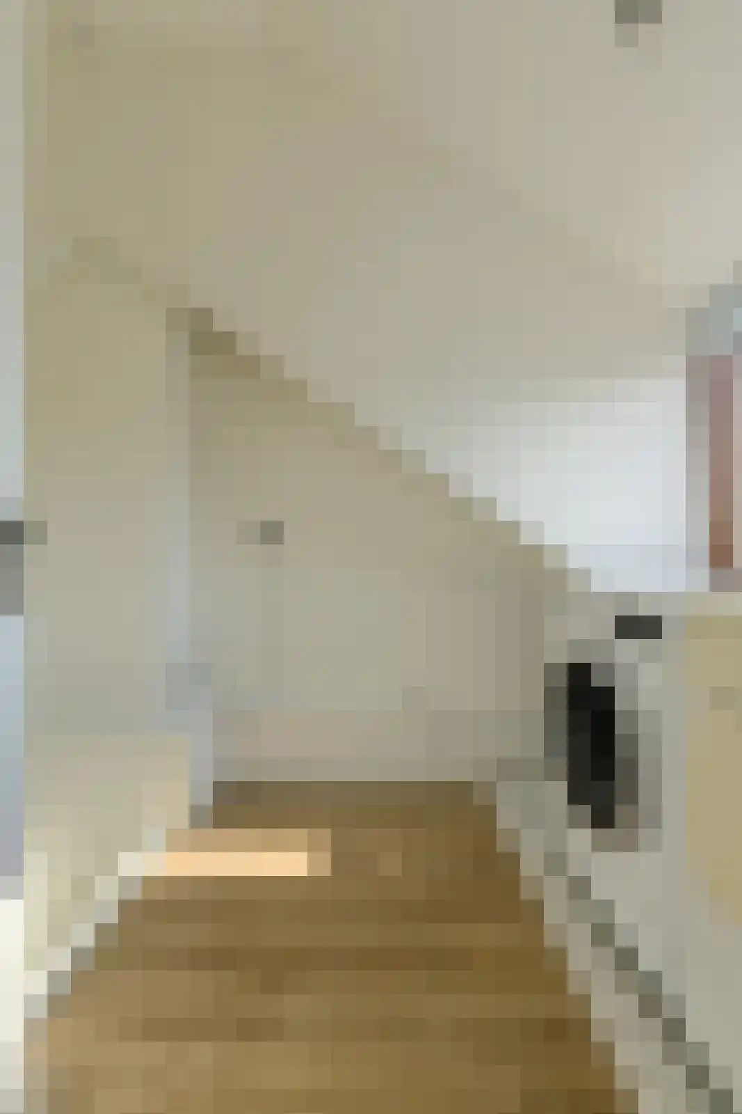 Schijfstraat 50 Teteringen thumbnail 46