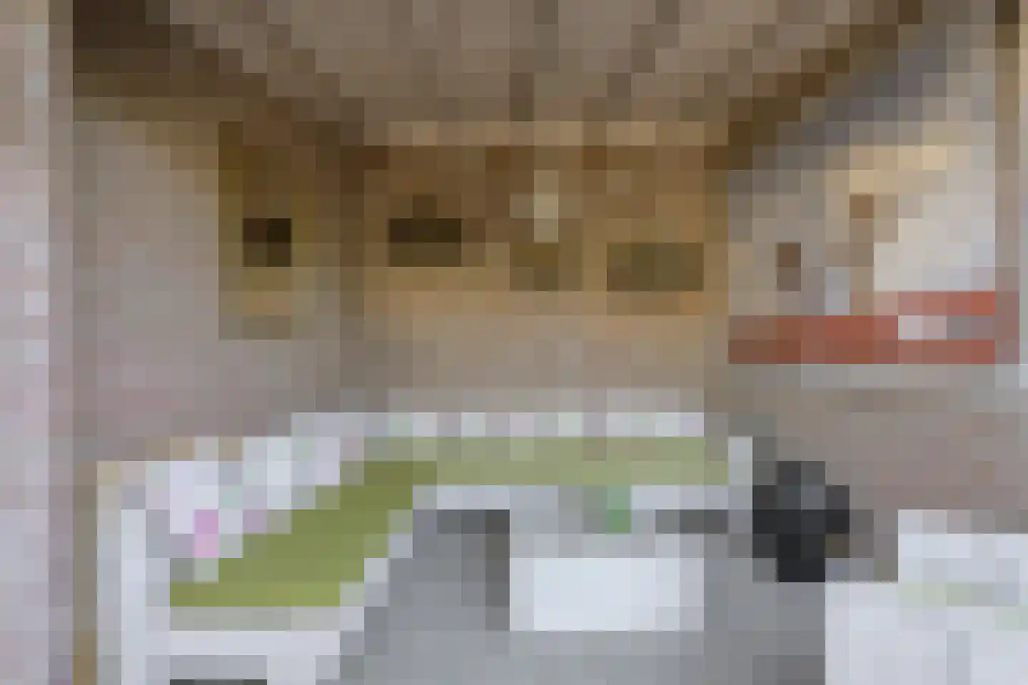 Schijfstraat 50 Teteringen thumbnail 51