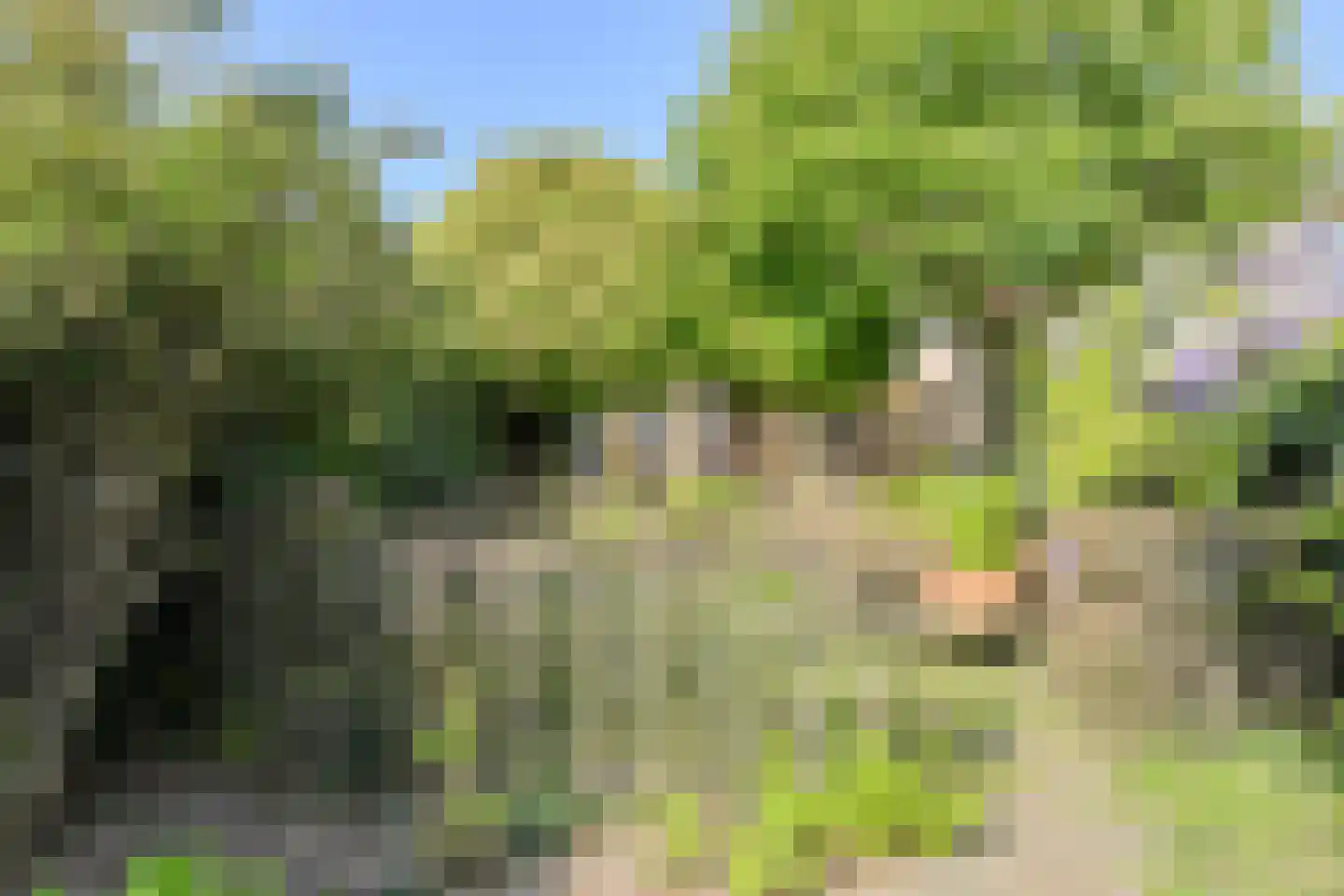 Schijfstraat 50 Teteringen thumbnail 54