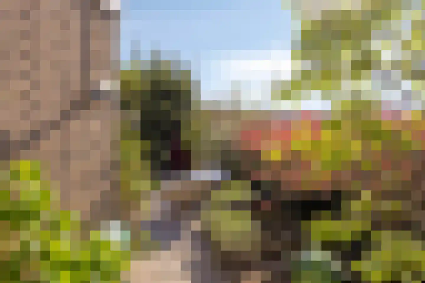 Schijfstraat 54 Teteringen thumbnail 46