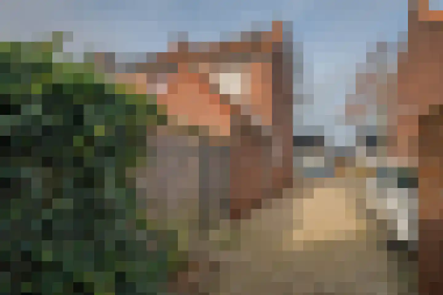 Schijfweg-Zuid 37 Kessel thumbnail 43