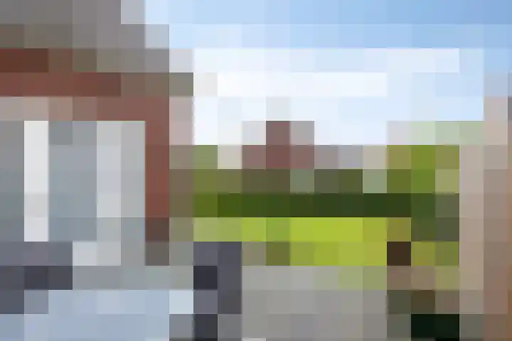 Schijfweg-Zuid 4 A Kessel thumbnail 29
