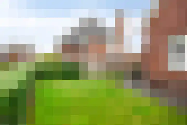 Schijfweg-Zuid 4 A Kessel thumbnail 31