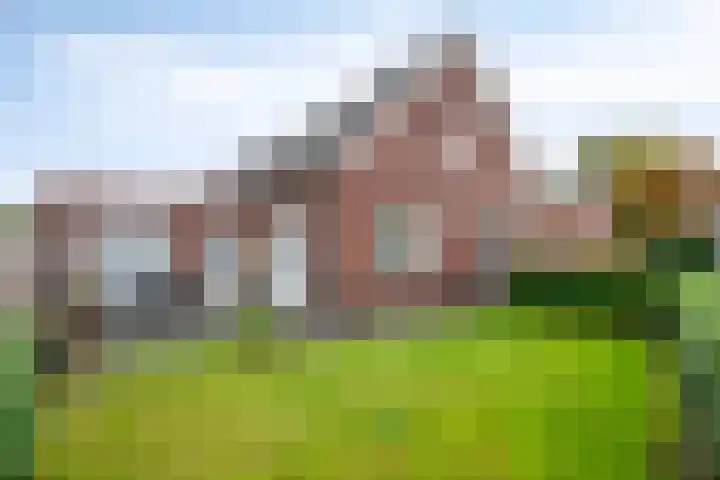 Schijfweg-Zuid 4 A Kessel thumbnail 32