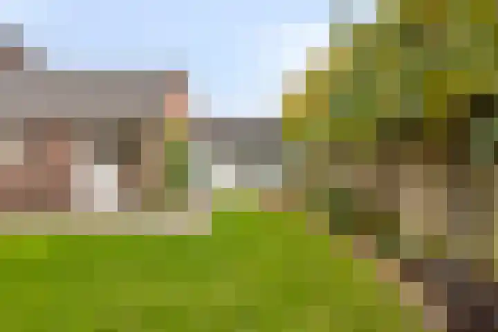Schijfweg-Zuid 47 Kessel thumbnail 46