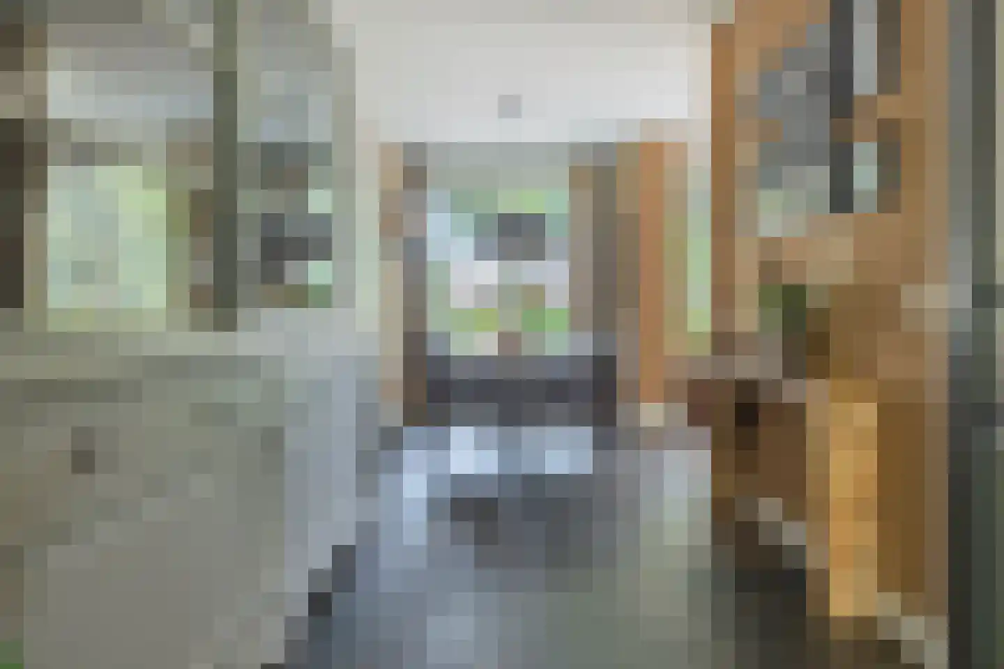 Schijndelaarlaan 74 Barneveld thumbnail 15