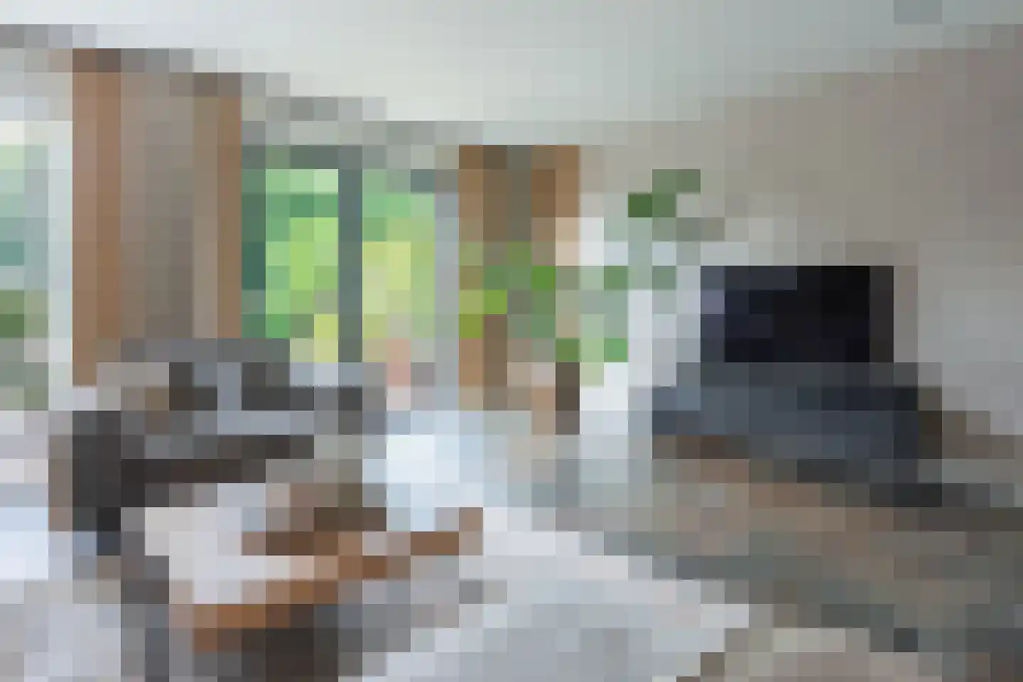 Schijndelaarlaan 74 Barneveld thumbnail 8