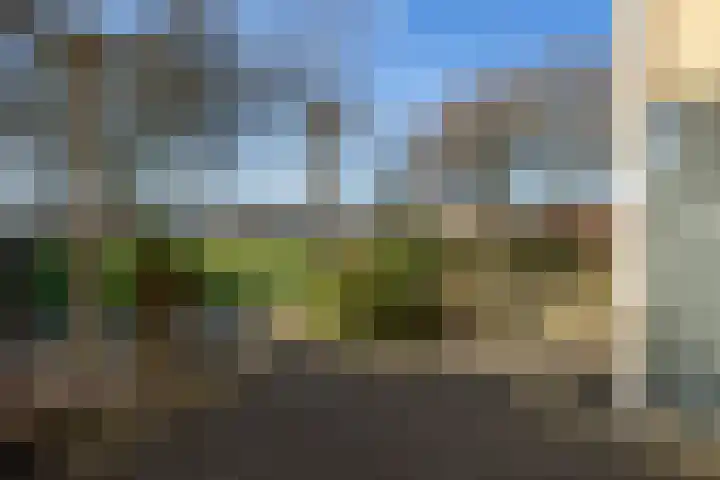 Schijndelseweg 108 Boxtel thumbnail 4