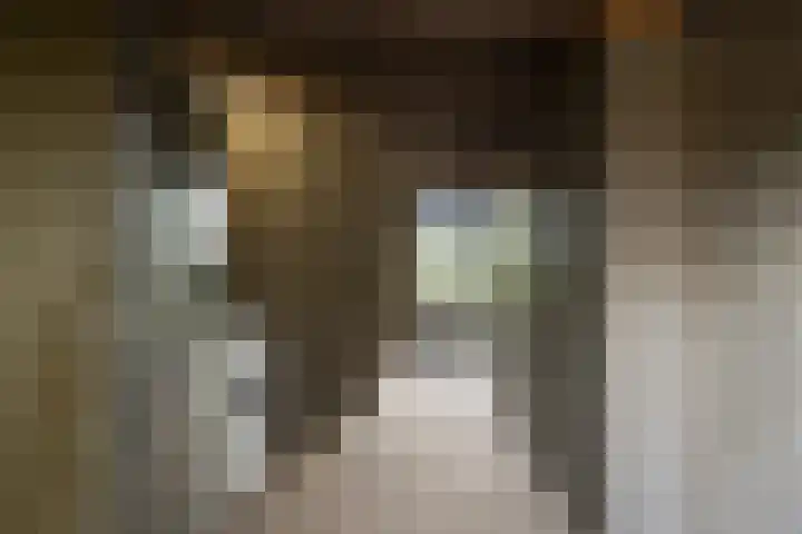 Schijndelseweg 12 Sint-Michielsgestel thumbnail 37