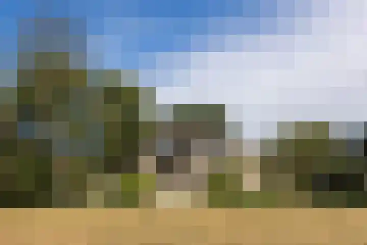 Schijndelseweg 12 Sint-Michielsgestel thumbnail 47