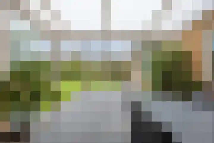 Schijndelseweg 160 Boxtel thumbnail 32
