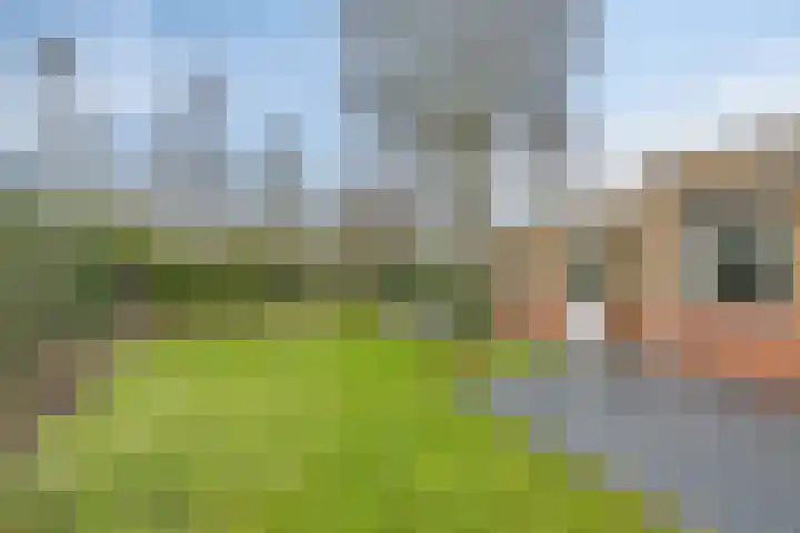 Schijndelseweg 160 Boxtel thumbnail 35