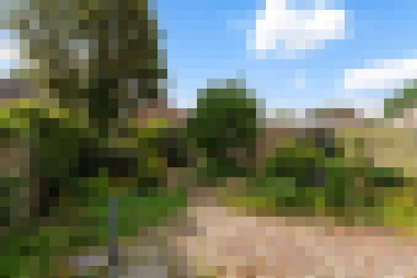 Schijndelseweg 28 Boxtel thumbnail 49