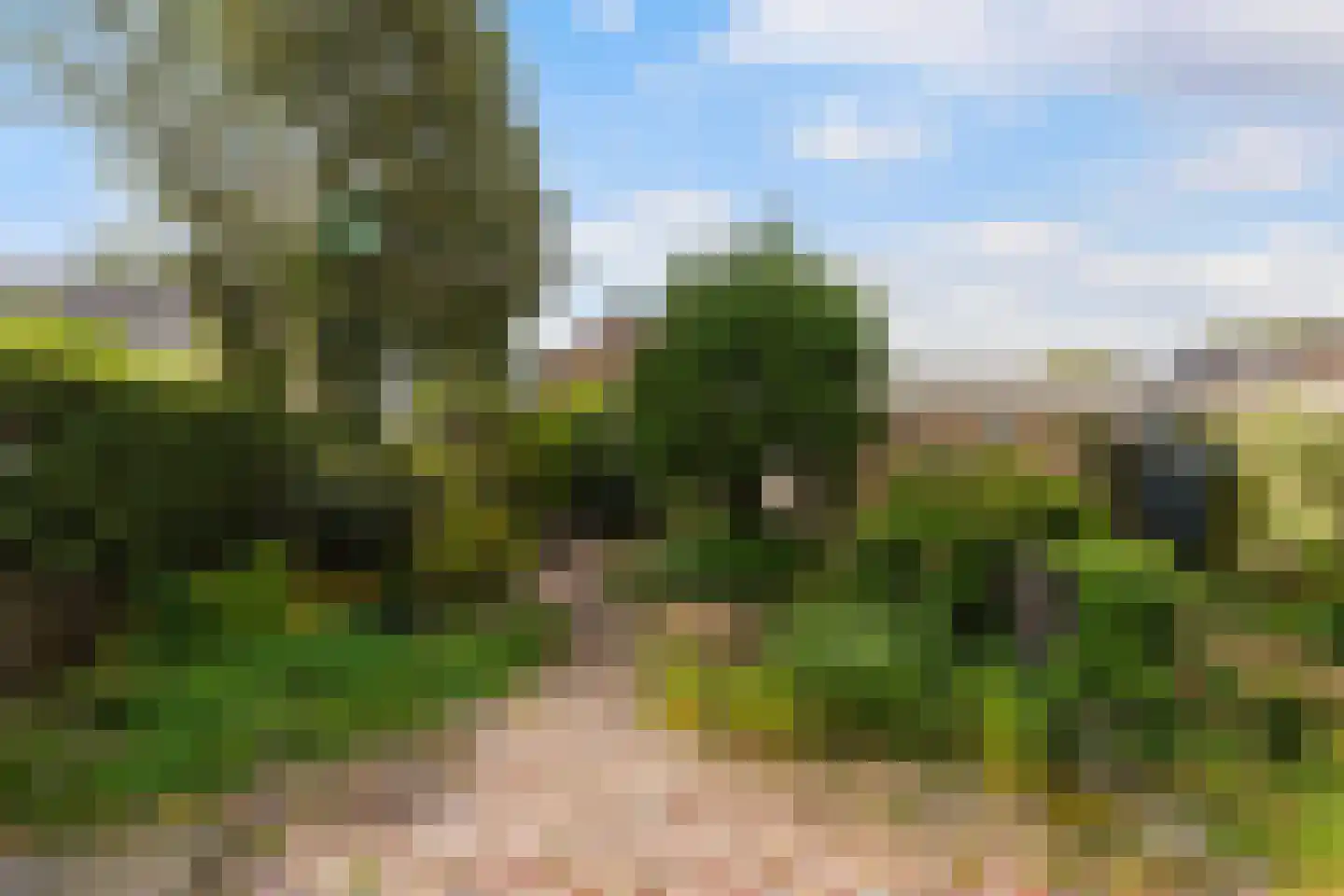 Schijndelseweg 28 Boxtel thumbnail 50