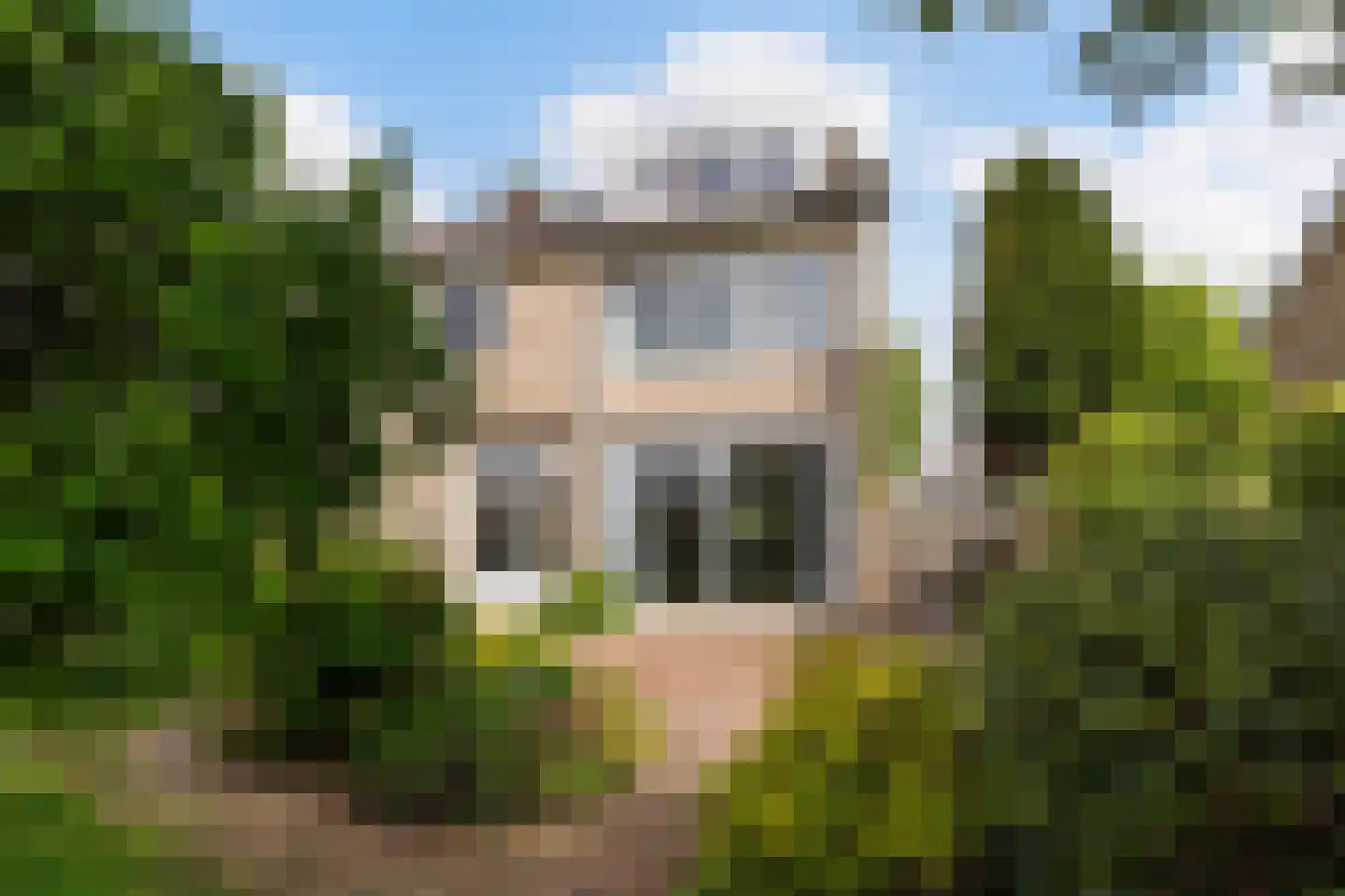 Schijndelseweg 28 Boxtel thumbnail 51