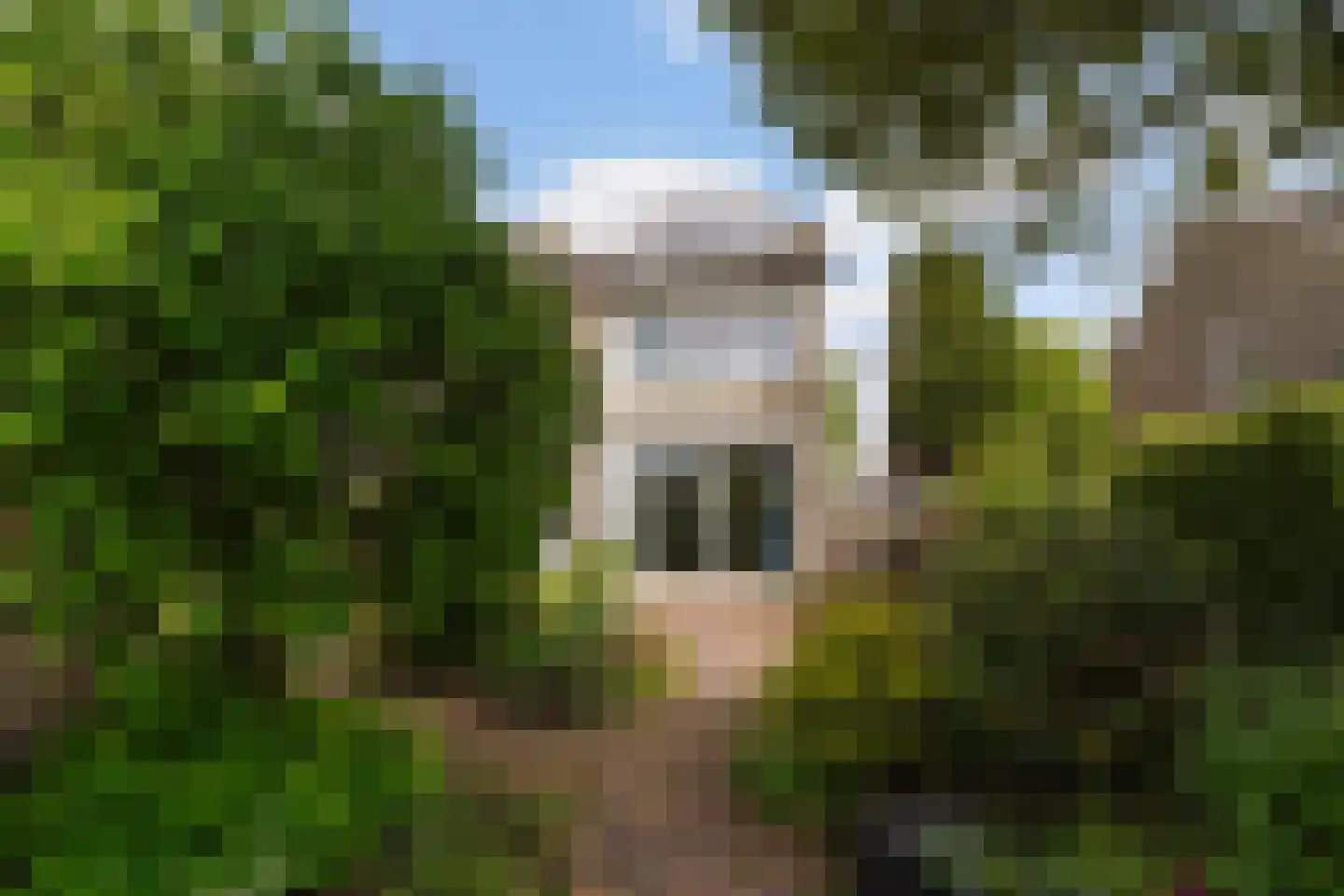 Schijndelseweg 28 Boxtel thumbnail 53
