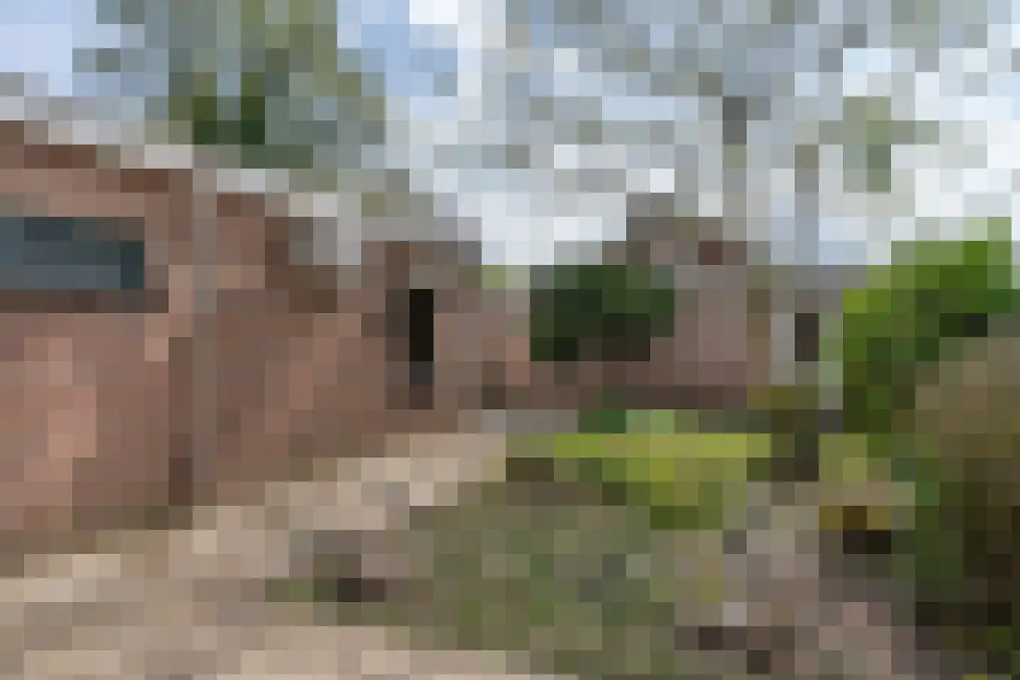 Schijndelseweg 28 Sint-Michielsgestel thumbnail 32