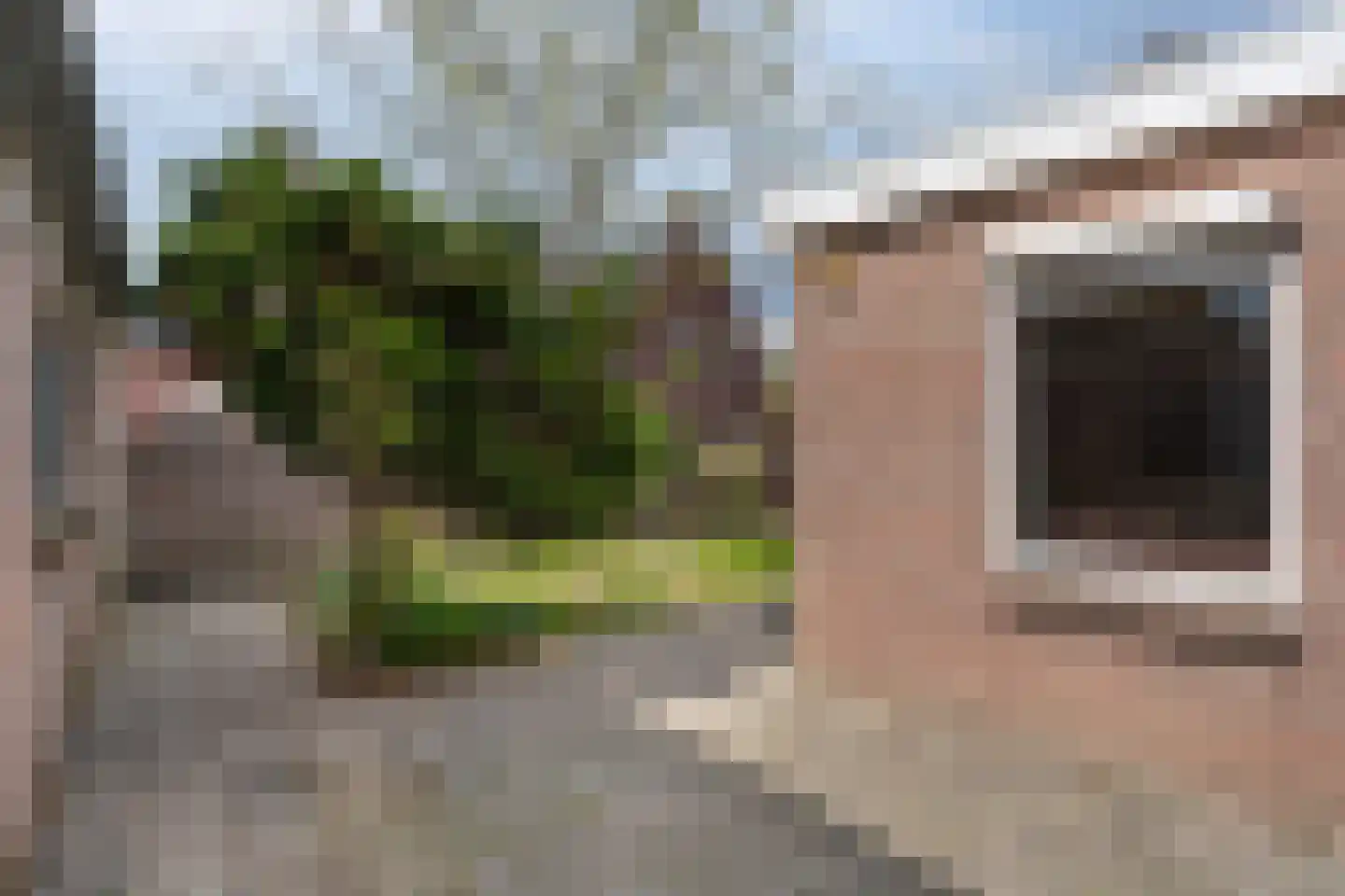 Schijndelseweg 28 Sint-Michielsgestel thumbnail 33