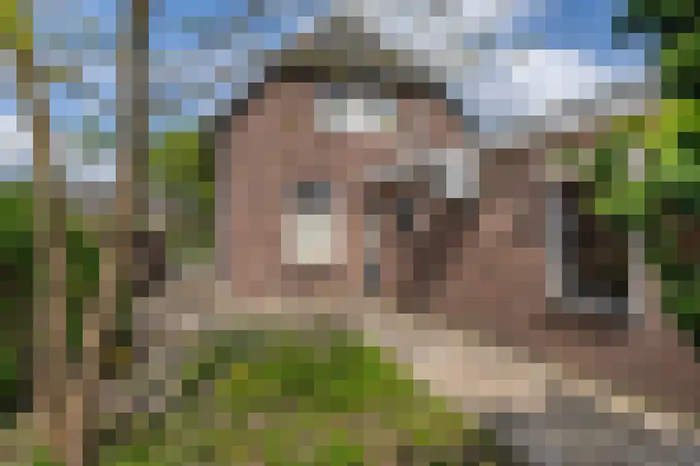 Schijndelseweg 28 Sint-Michielsgestel thumbnail 5