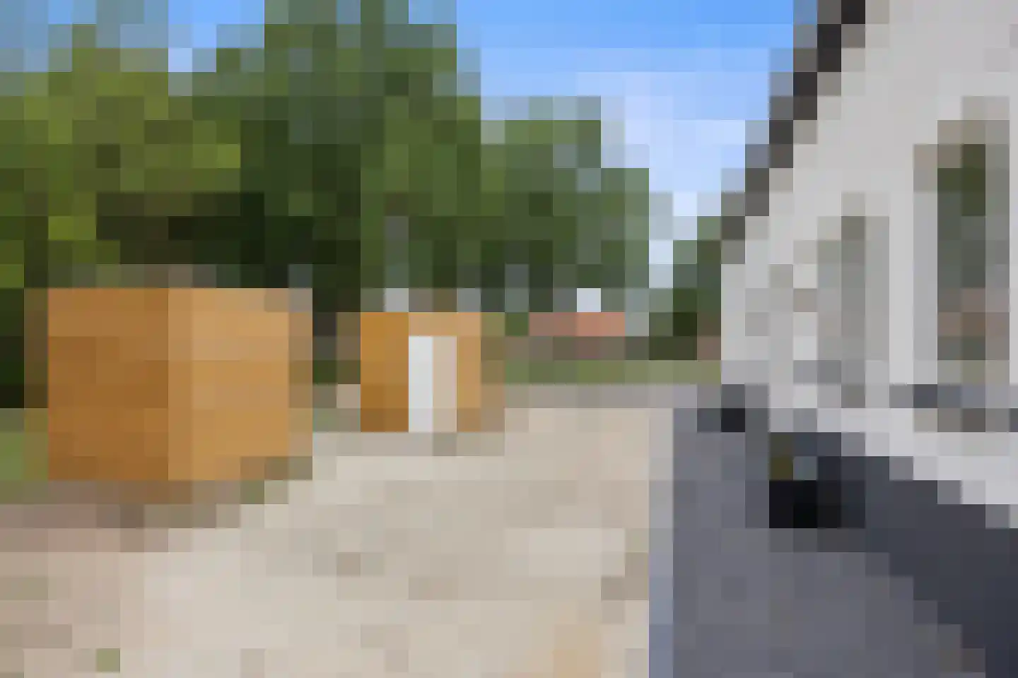 Schijndelseweg 36 A Sint-Michielsgestel thumbnail 5