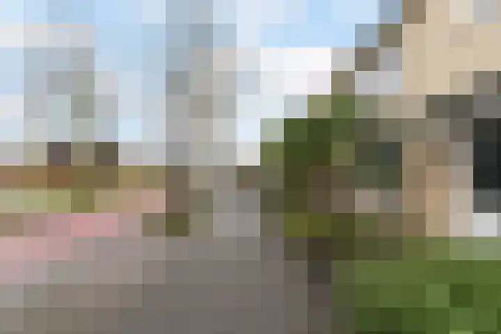 Schijndelseweg 36 Boxtel thumbnail 4